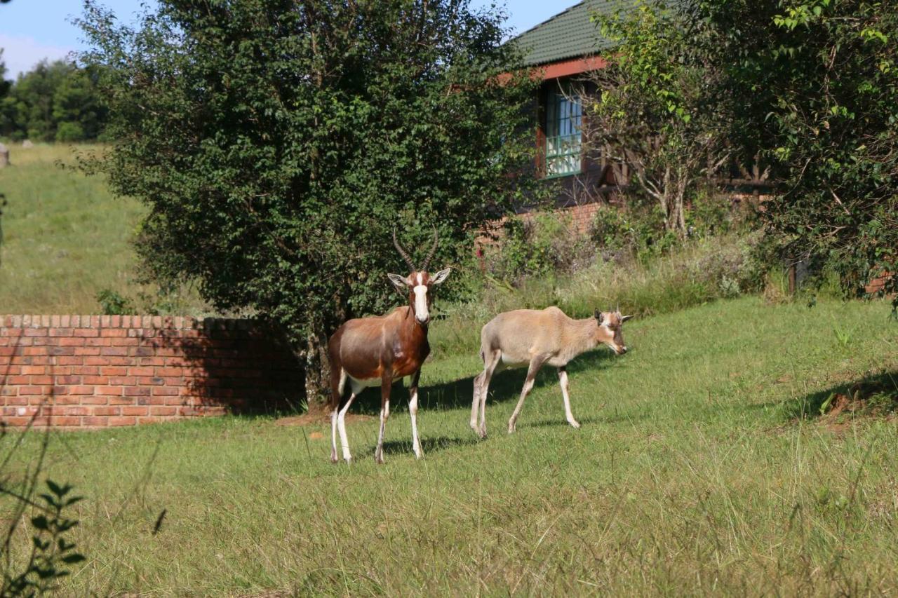 Malolotja Log Cabins Mbabane Dış mekan fotoğraf